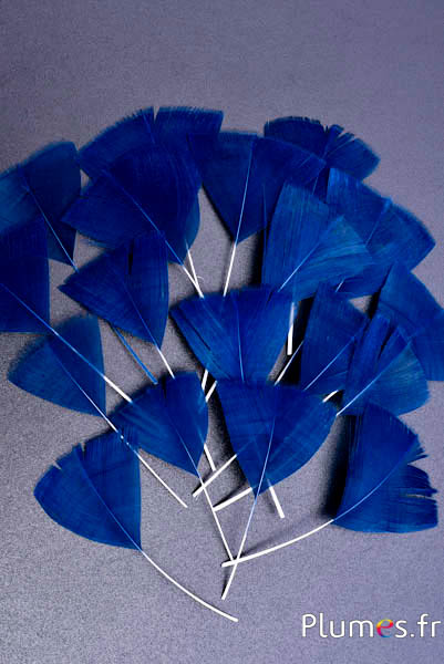 Petali in piume - 6-8 cm x 3-4 cm - blu notte
